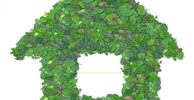 tendance investissement immobilier locatif ou meuble