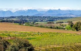 investir dans un domaine viticole